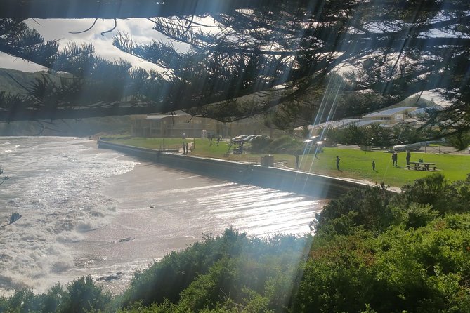 12 Apostles and Otway Fly Zipline Day Trip from Melbourne - A 6:15 am departure that sets you up for the coast