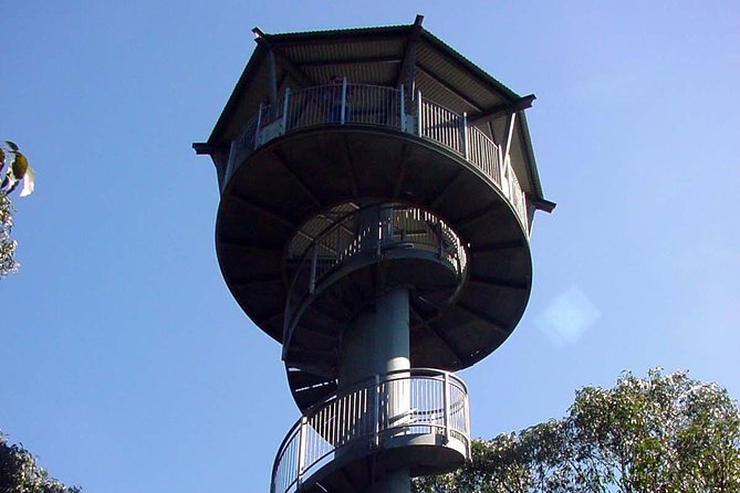 12 Apostles and Otway Fly Zipline Day Trip from Melbourne - Otway Fly Treetop Adventures: steel canopy and zip-lines through the rainforest