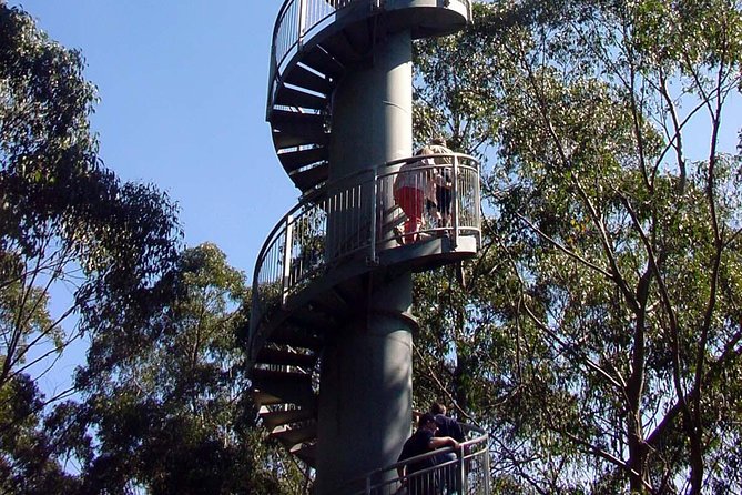12 Apostles and Otway Fly Zipline Day Trip from Melbourne - Getting real about the price: $159.23 for a whole lot of driving and activity
