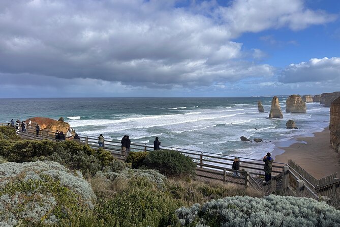 12 Apostles,Great Ocean Road Tour - hotel PICKUP & free entries - Great Otway National Park: where koala chances meet waterfalls