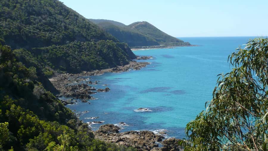 2 Day Great Ocean Road Small Group Tour - Day 2: Otways Rainforest Walk and the Shipwreck Coast Theme