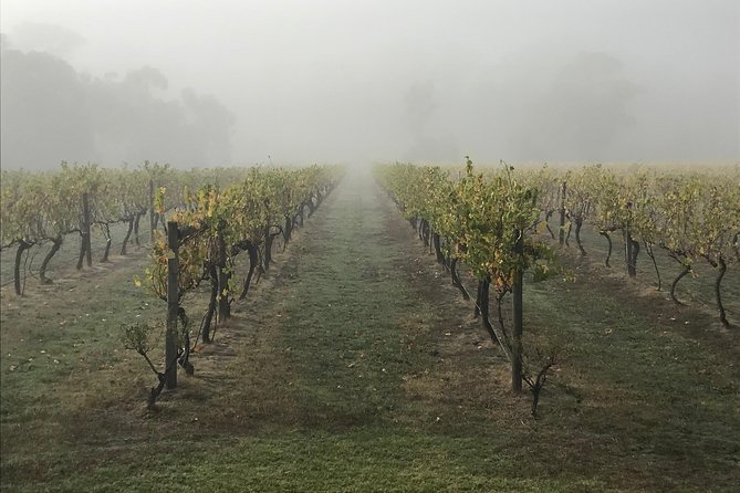 2-Day Yarra Valley Wine Tour with Luxury Vineyard Resort Stay - How the tastings actually help you learn