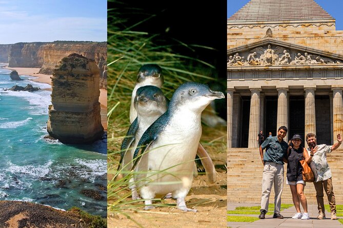 3 Day Combo: Great Ocean Road, Penguin Parade and FREE City Tour - Key things to know before you go