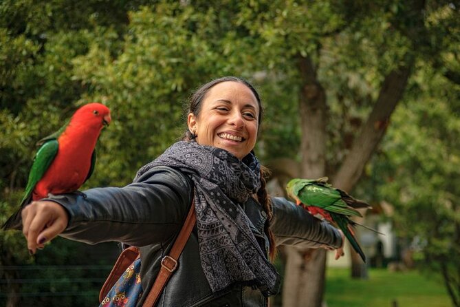 3 Day Combo: Great Ocean Road, Penguin Parade and FREE City Tour - Timing, comfort, and packing choices that actually matter
