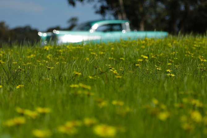 '56 Chevrolet 6-hr Yarra Valley Classic Car Private Tour (4 ppl) - John and the local touch that makes the day feel planned