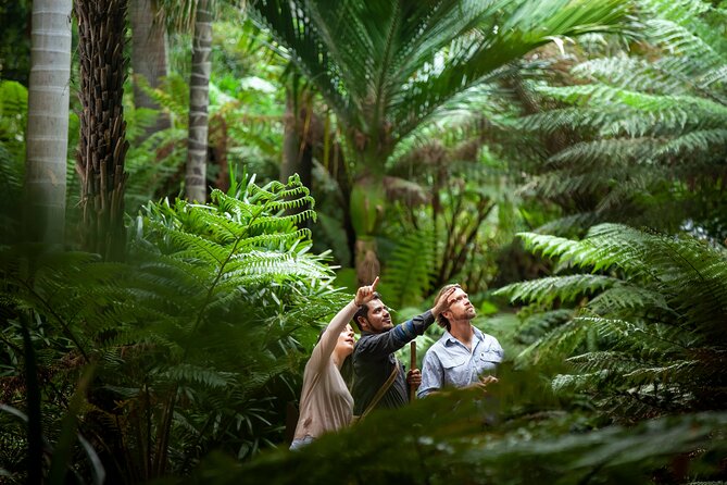 Aboriginal Heritage Walk - Royal Botanic Gardens Victoria, Melbourne Gardens - Key highlights to look forward to