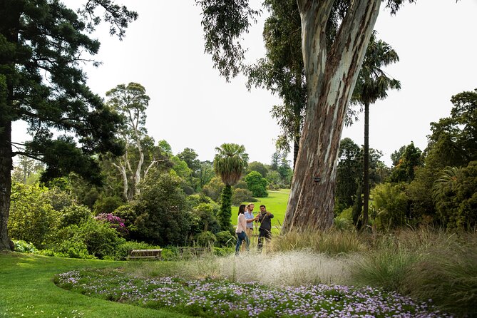 Aboriginal Heritage Walk - Royal Botanic Gardens Victoria, Melbourne Gardens - The plant-sense experience: smell, touch, and slow noticing