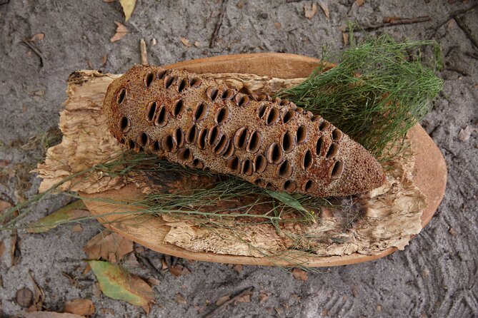 Aboriginal Heritage Walk - Royal Botanic Gardens Victoria, Melbourne Gardens - Planning tips that keep the walk easy and enjoyable