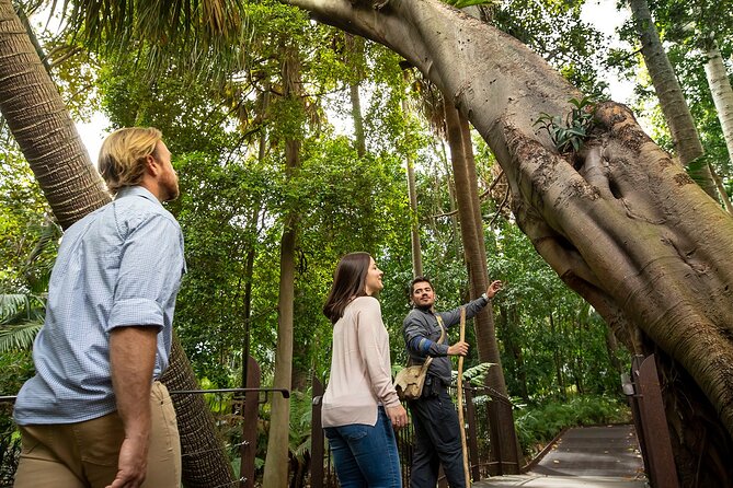 Aboriginal Heritage Walk - Royal Botanic Gardens Victoria, Melbourne Gardens - One main stop, many meaningful moments: the Gardens walkthrough