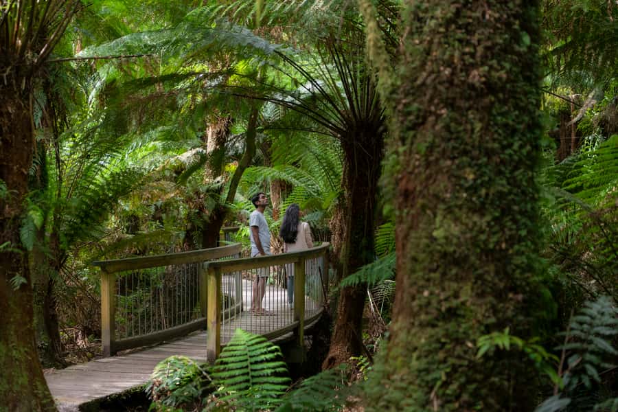 Adelaide to Melbourne: 3-Day Ultimate Overland Journey - Who should book this trip, and who should skip it