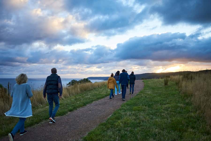 Apollo Bay: Dusk Discovery Great Ocean Road Wildlife Tour - How Your Conservationist Guide Helps You See More