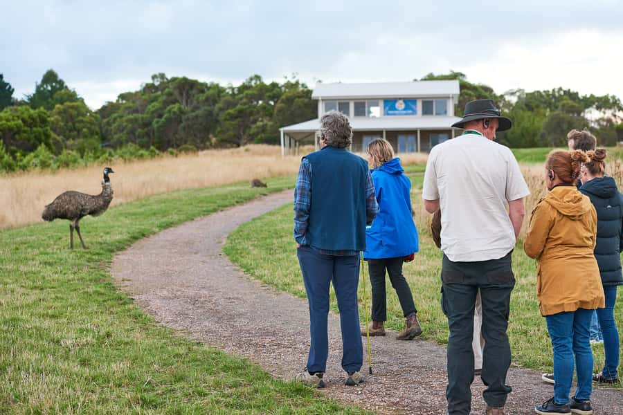 Apollo Bay: Dusk Discovery Great Ocean Road Wildlife Tour - The Tools You Get Make a Real Difference
