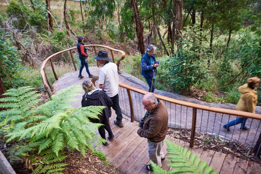 Apollo Bay: Dusk Discovery Great Ocean Road Wildlife Tour - Weather, Safety, and Being Flexible With Your Plans