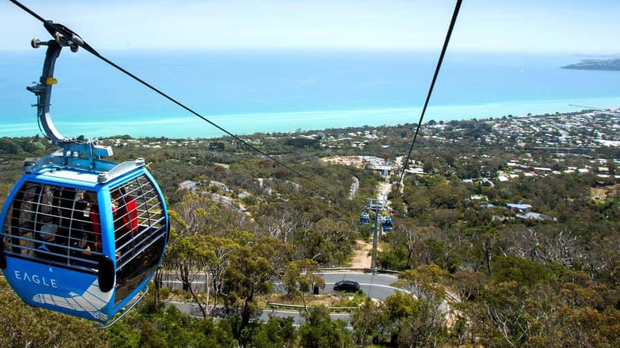 Arthurs Seat Eagle: Scenic Gondola Ride - Key highlights you will feel right away