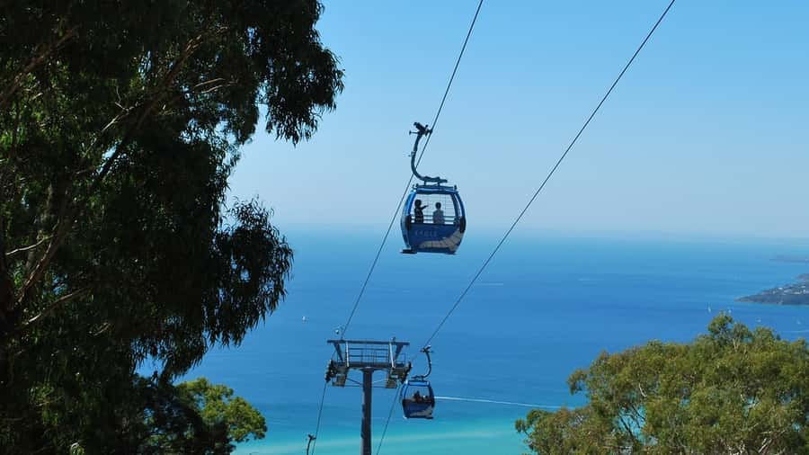 Arthurs Seat Eagle: Scenic Gondola Ride - What the gondola ride is actually like (and what you’ll notice)