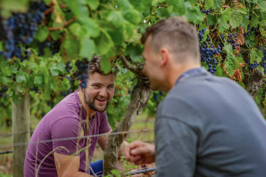 Bellarine Winery: Texas BBQ Platter Lunch with Wine - Key things to know before you book