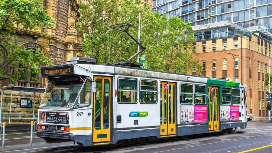 Best of Melbourne: Private Walking Tour with a Local - Street Art Laneways and Coffee Stops You Can Actually Use