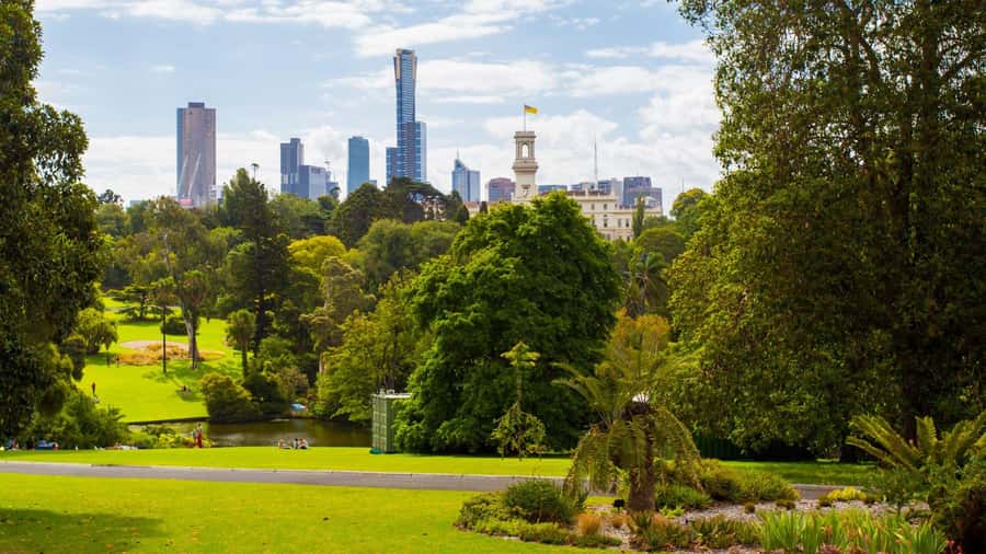 Best of Melbourne: Private Walking Tour with a Local - Price and Time: Is $48 Per Person Good Value?
