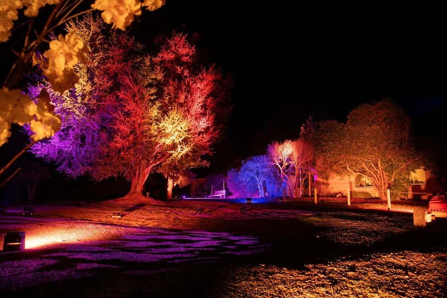 Blossom by Light at CherryHill - Families at night, lawn games and kid activities that keep momentum