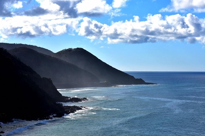 Boutique Great Ocean Road, wildlife and Rainforest Experience - Key points worth knowing before you go