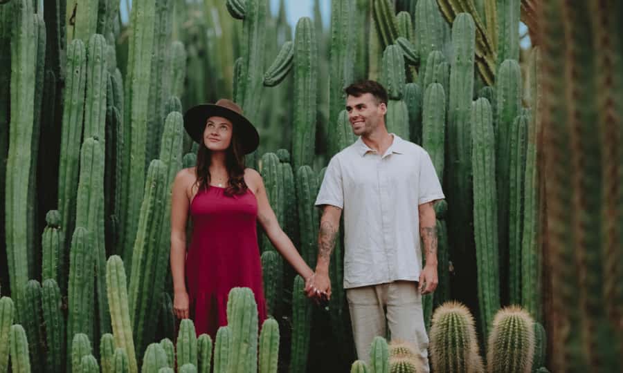 Cactus Country: Entry Ticket - Key highlights