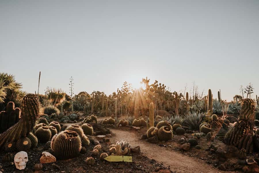 Cactus Country: Entry Ticket - Stepping Into Cactus Country in Victoria
