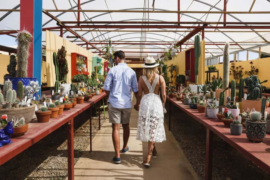 Cactus Country: Entry Ticket - Price and Value: Is $17 Worth a Full Day?