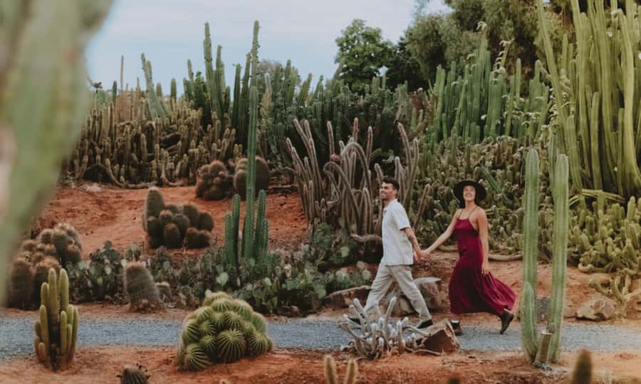 Cactus Country: Entry Ticket - FAQ