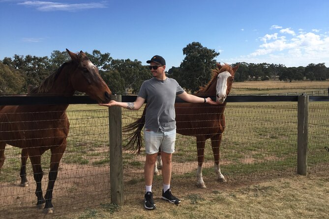 Champion Racehorse Tour with Beer and Wine Tasting - Key takeaways before you go