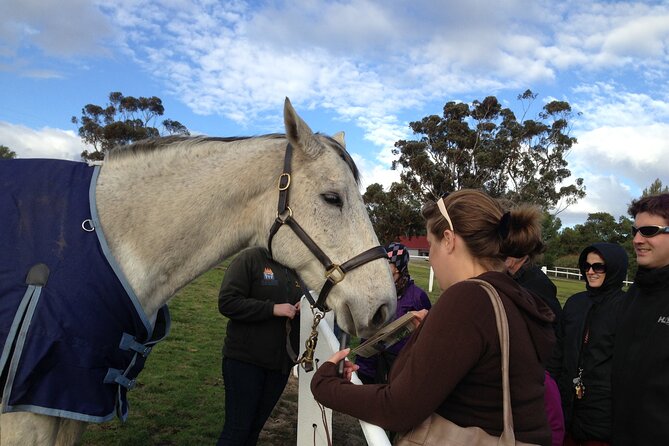 Champion Racehorse Tour with Beer and Wine Tasting - Holgate Brewery bistro lunch, microbrewery sights, and the beer tasting you’ll remember
