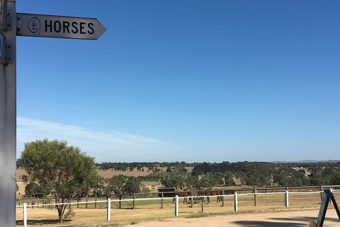 Champion Racehorse Tour with Beer and Wine Tasting - The rhythm of the day: 8 hours, a small group, and how to enjoy the ride