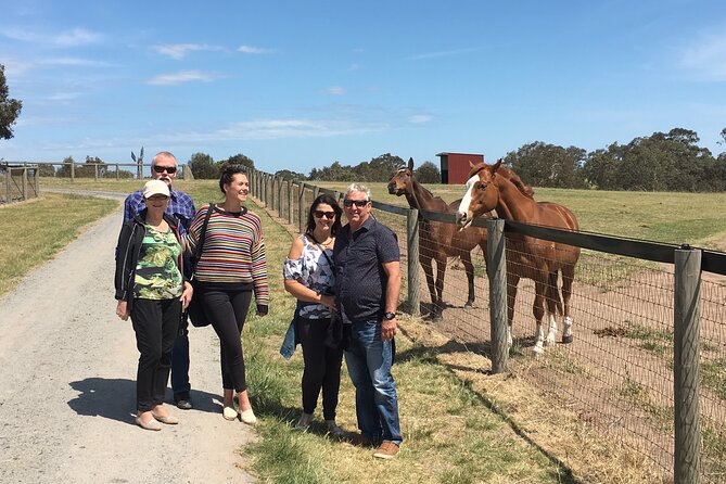 Champion Racehorse Tour with Beer and Wine Tasting - Practical tips so the whole day stays comfortable