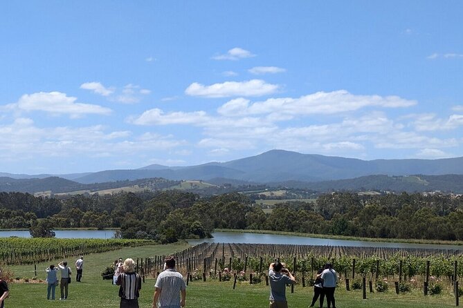 Cruise Ship Friendly Yarra Valley Wine Tour with Port Pickup - Key points before you go