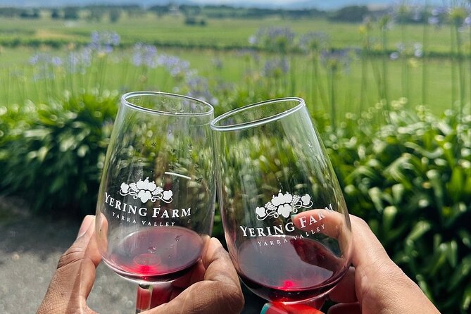 Cruise Ship Friendly Yarra Valley Wine Tour with Port Pickup - The relaxed, social vibe that actually changes the day