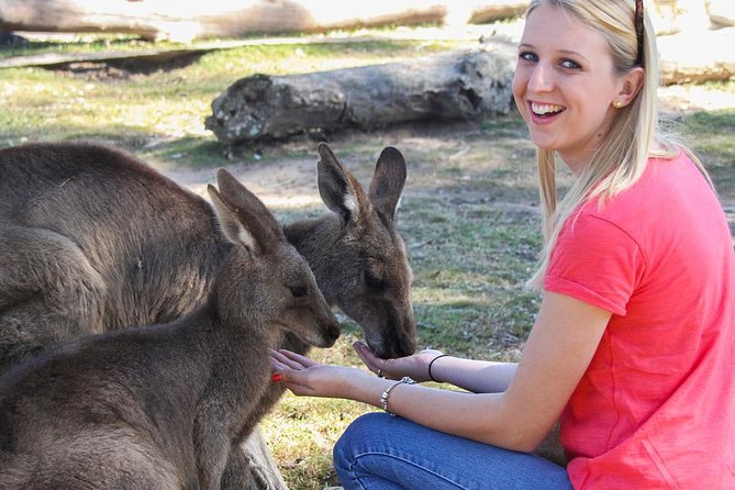 Custom Private Day Tour Melbourne to all surrounding areas for up to 11 people - Yarra Valley and Mornington Peninsula: pick one long countryside mood
