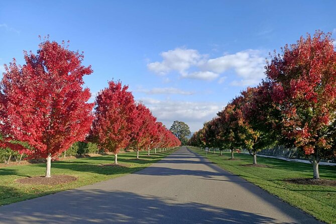 Customized private winery day tour in Yarra Valley at your own choices - A build-your-own Yarra Valley schedule, not a fixed hop-and-stop