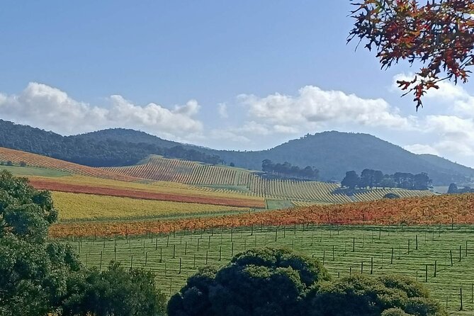 Customized private winery day tour in Yarra Valley at your own choices - Who this private Yarra Valley tour suits best