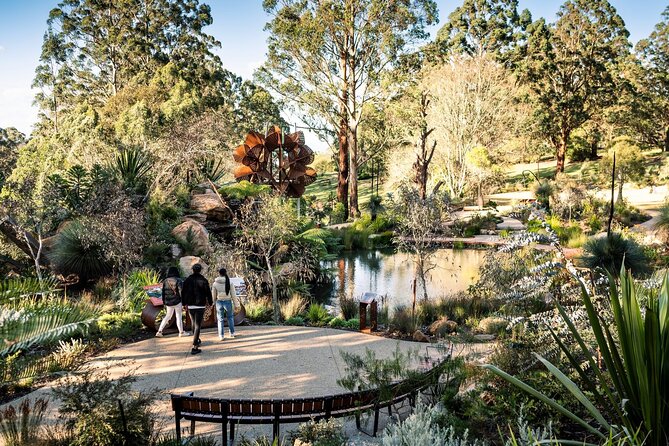 Dandenong Ranges Private Day Tour - Bird spotting, plant talk, and the guide magic (Jay or Joe)