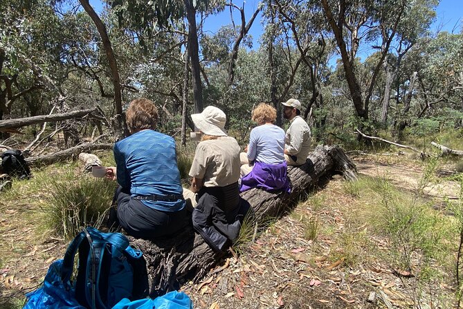 Daylesford Goldfields Track Walking and Wellness Experience - Meals included: why group lunches and dinners are part of the value