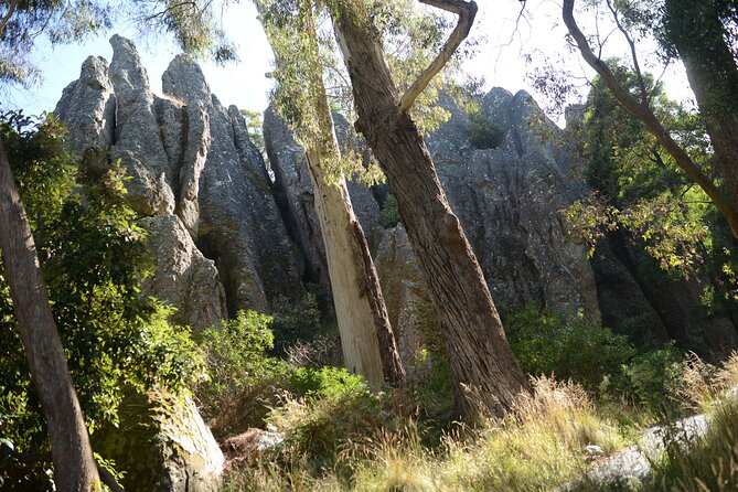 Daylesford Goldfields Track Walking and Wellness Experience - Melbourne to the bush: why the 7:15 am start helps