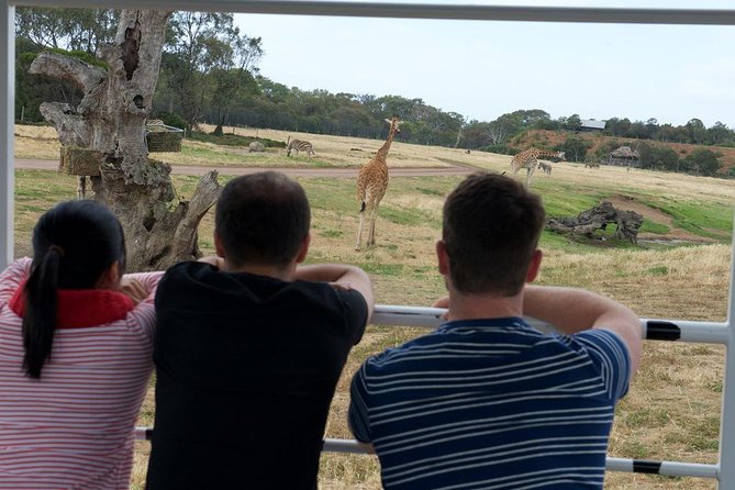 Deluxe Safari Adventure at Werribee Open Range Zoo - excl. entry - Who This Deluxe Safari Fits Best