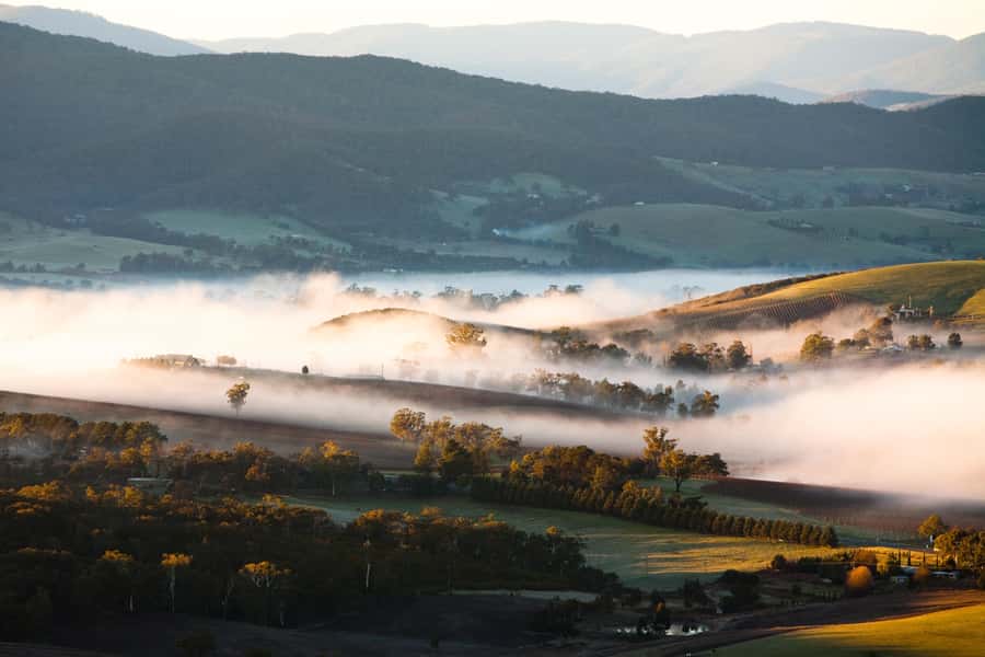 Experience Yarra Valley: A Tailored private Wine Journey - Key highlights that make this day work