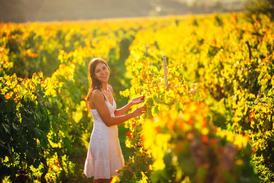 Experience Yarra Valley: A Tailored private Wine Journey - Winery stops: up to four tastings with real breathing room