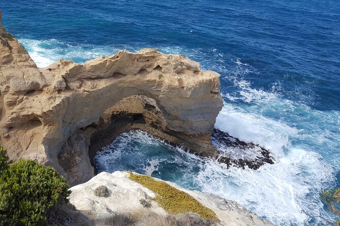 Express Twelve Apostles Day Trip from Melbourne - Price and value: why $396.64 can be fair on an express private tour