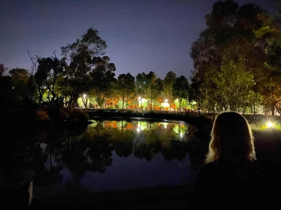 Eynesbury Homestead Dark Tales & Ghostly Trails Dinner&Tour - Ms Peacock Kitchen & Bar: your 2-course meal and how to think about value