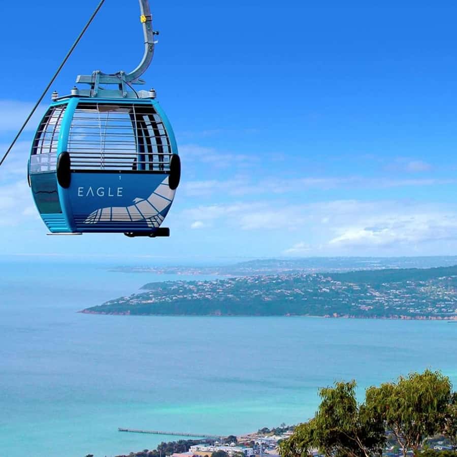 Farmer's Lunch and Arthurs Seat Eagle Cable Car Ride - For 2 - Key highlights worth your attention