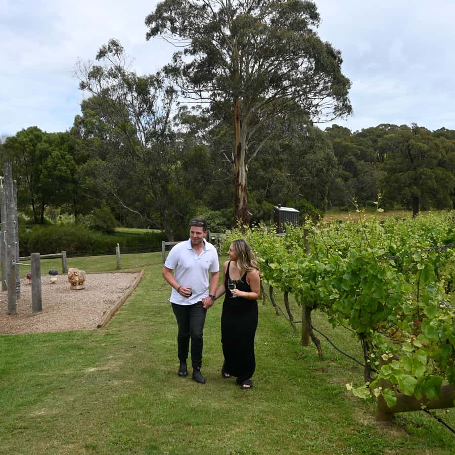 Farmers Lunch - Food and Wine for 2 - What the setting is really like: vineyard views, garden, and ducks