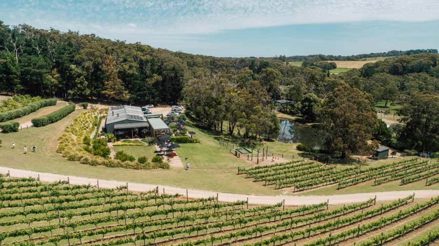 Farmers Lunch - Food and Wine for 2 - The flow of the 2-hour experience