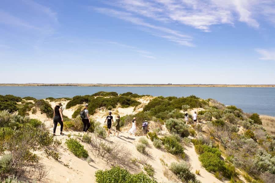 From Goolwa: Full Day Coorong Experience - The Second Dune Walk: More Ngarrindjeri Interpretation, Less Guesswork