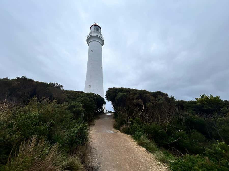 From Melbourne: 12 Apostles & Great Ocean Road Private Tour - Key highlights worth the hype